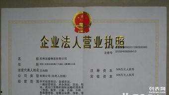 工商执照照片,一窥企业基本信息与经营状况